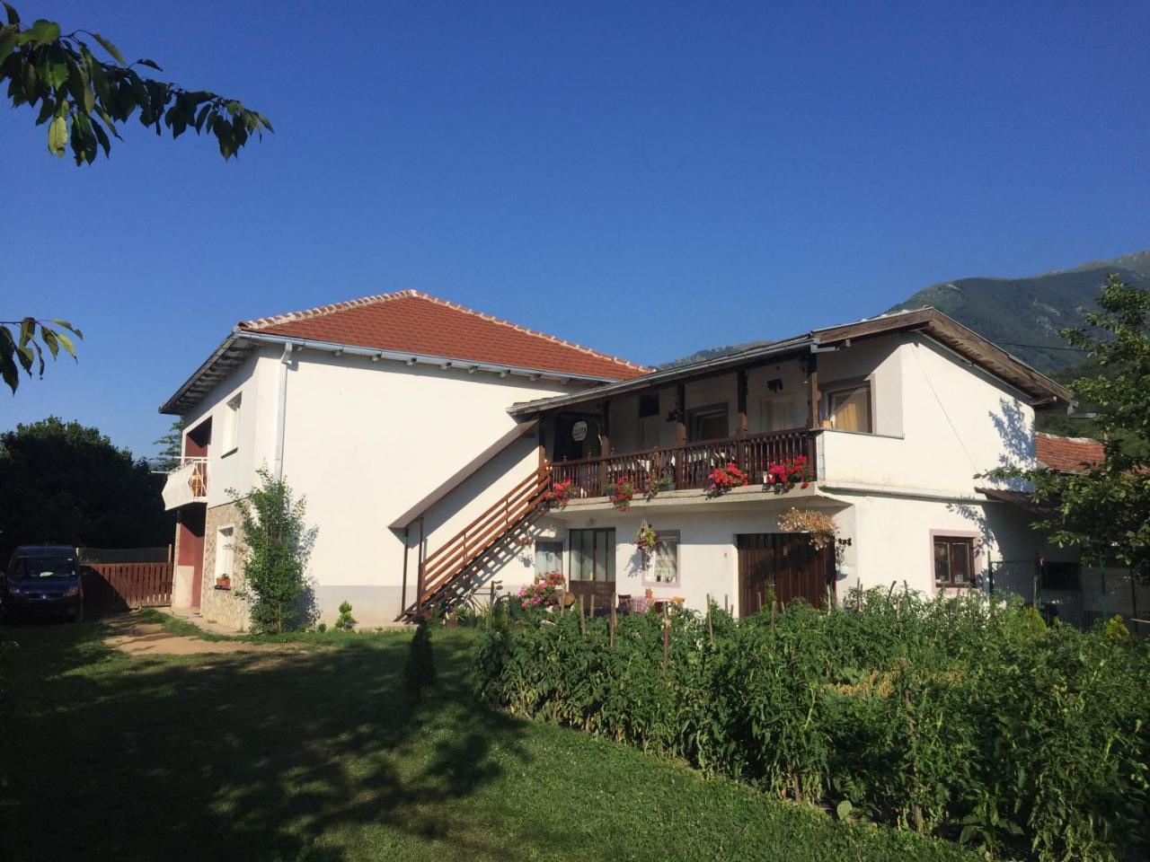 Kitka Hostel - Guest House Vratnica ภายนอก รูปภาพ