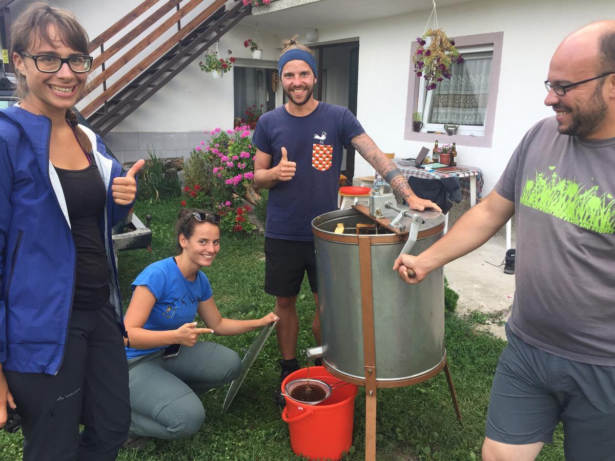 Kitka Hostel - Guest House Vratnica ภายนอก รูปภาพ