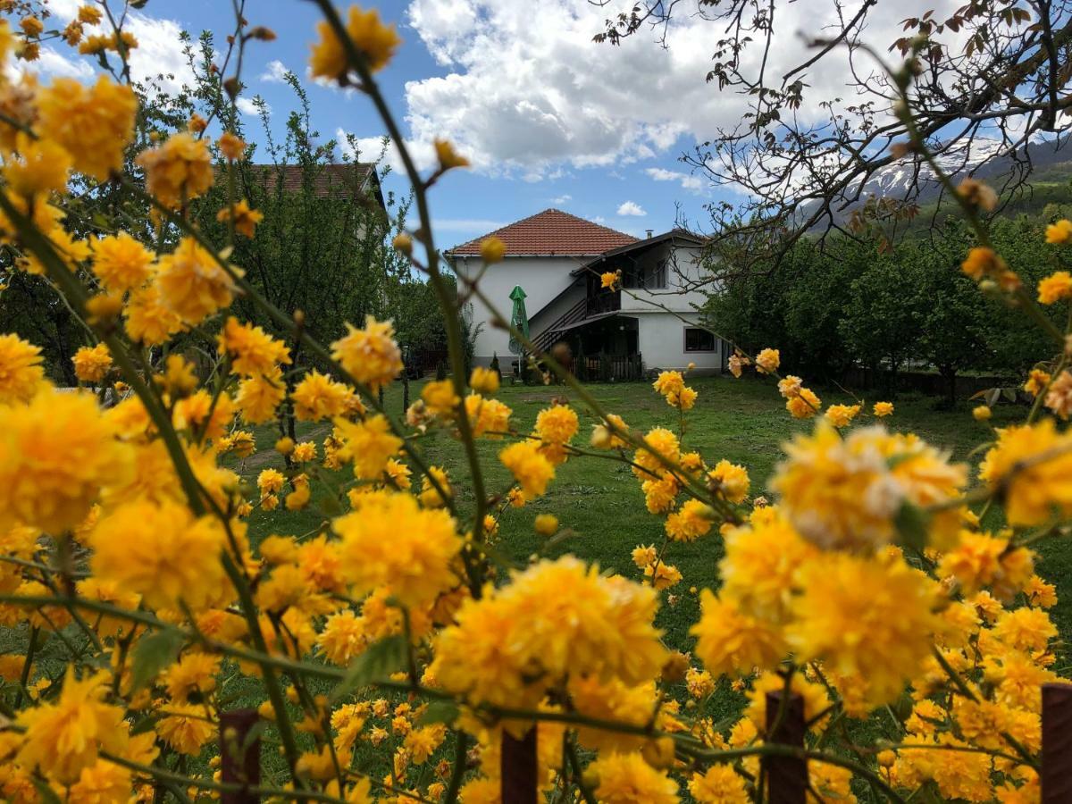Kitka Hostel - Guest House Vratnica ภายนอก รูปภาพ